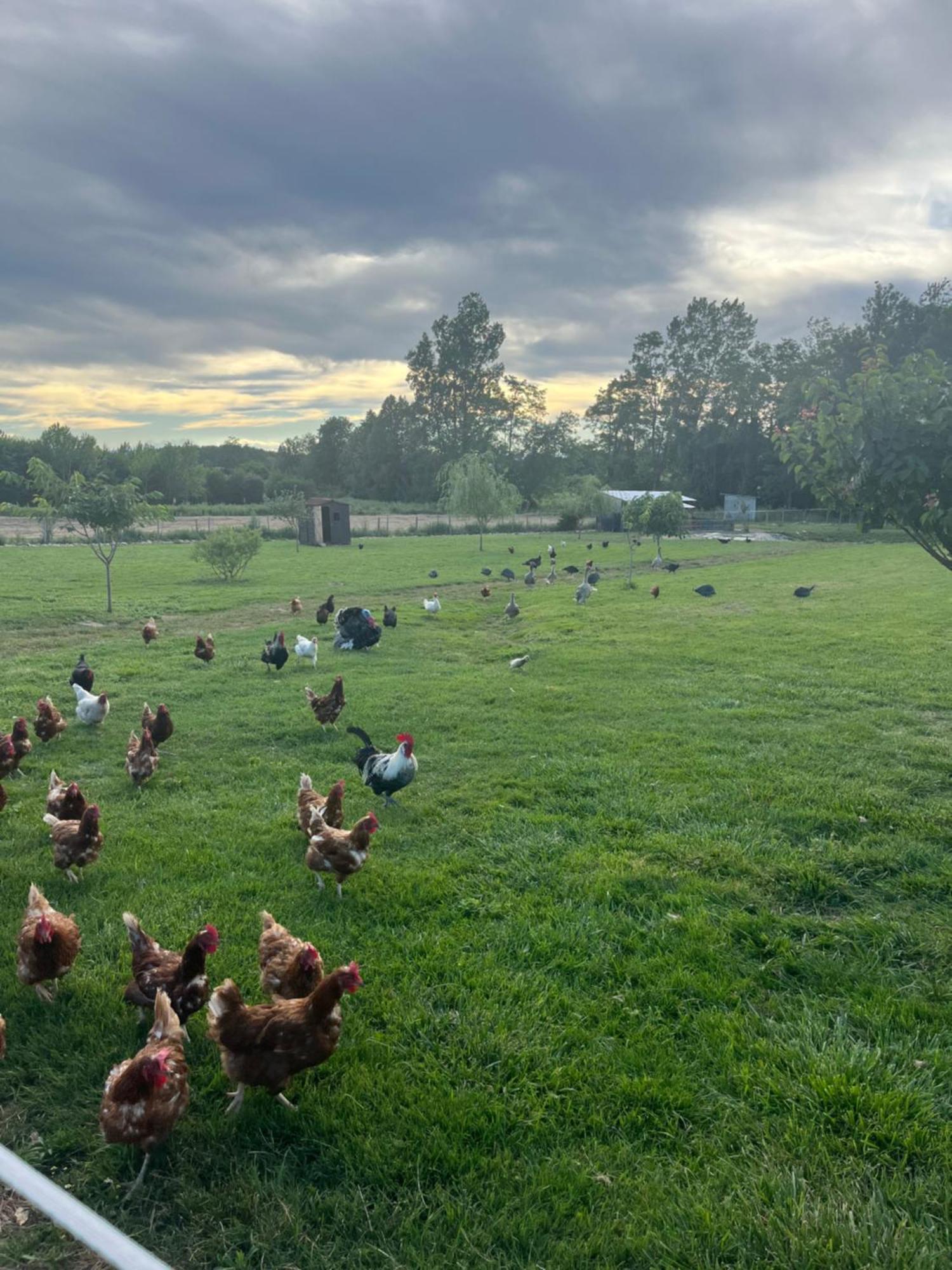 Gite1 Pour 6 Personnes Anneyron Esterno foto